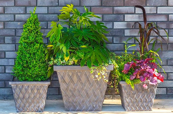 Various sizes and styles of garden plant pots, perfect for nurturing a variety of plants and adding beauty to your outdoor space.