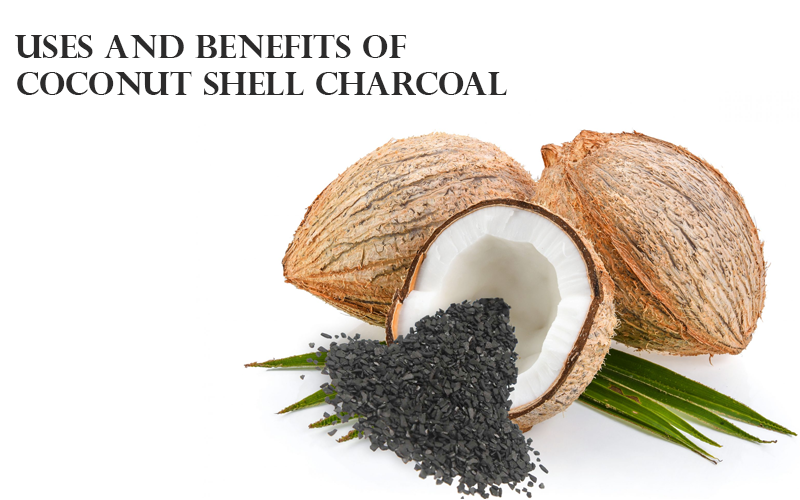 Uses and Benefits of Coconut Shell Charcoal