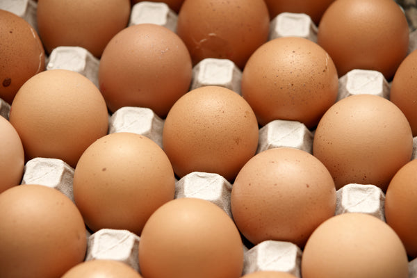 Top 10 health benefits of eggs