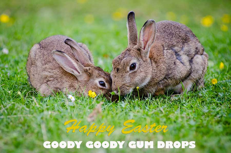 Easter Chocolates from Goody Goody Gum Drops