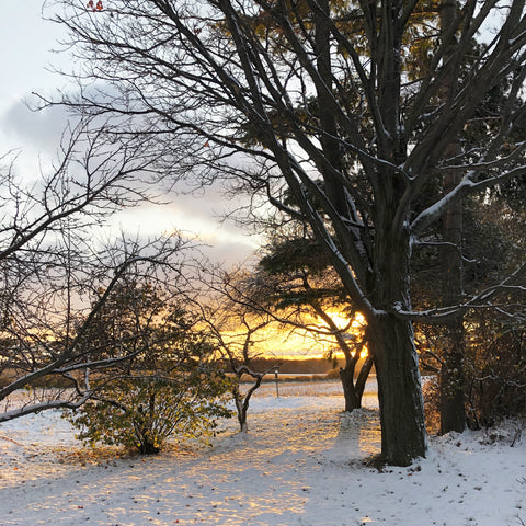 Snowy sunset