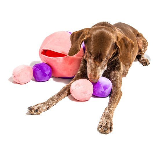 Bumble Ball® Motorized Dog Toy