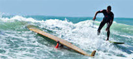 DisruptSurfing_Blog_270x120_TurtleRoll_Web