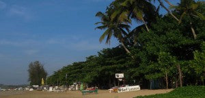 Surfing Sri Lanka Weligama