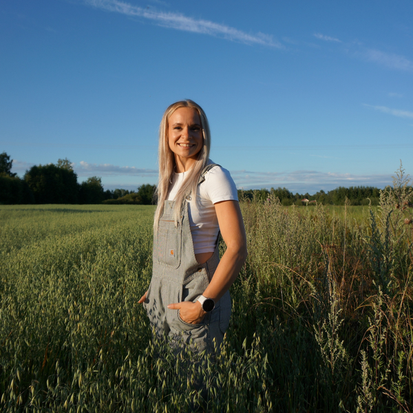 Testbee kaisa honkaharju