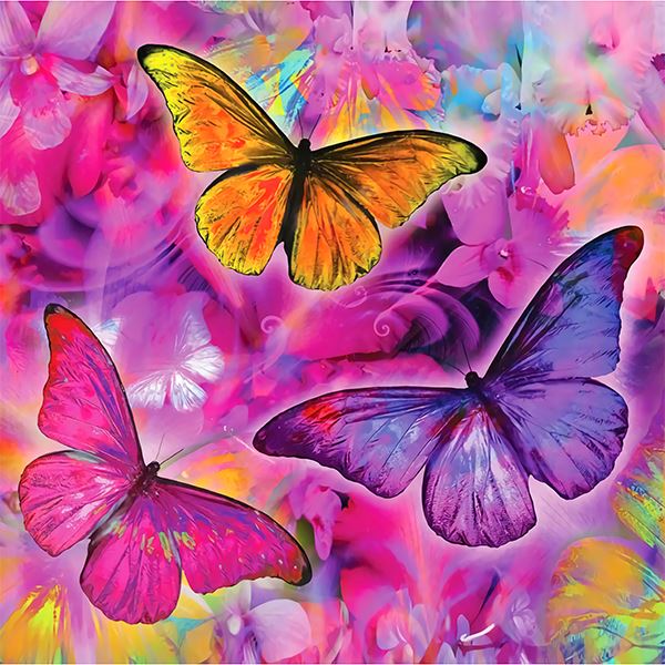 Studio Diamond Painting Vivid Collection | Violet Flutter | 40cm x 40c ...