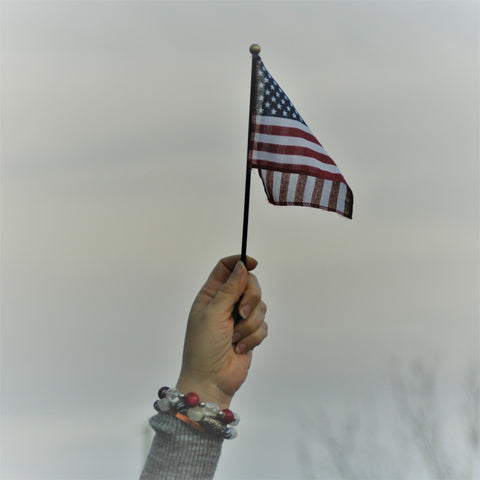 US Flag Held High