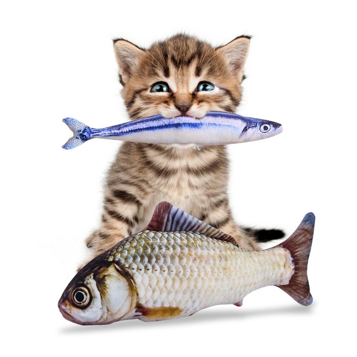 cat fish toy