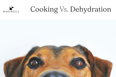 Cooked/Baked Treats vs. Dehydrated Treats for Dogs