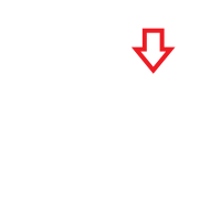 Download Catalogue Page