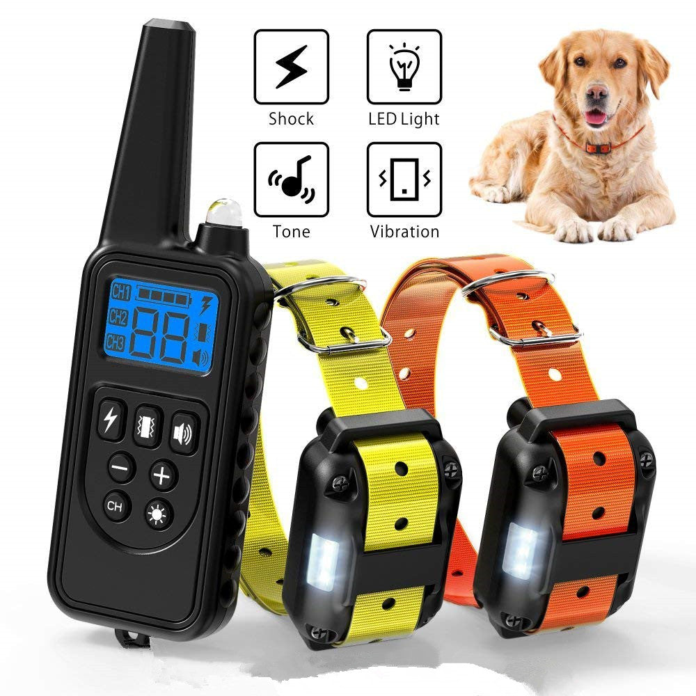 electric dog collar