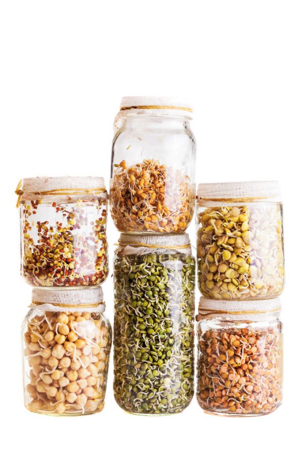 SPROUTED PULSES AND GRAINS