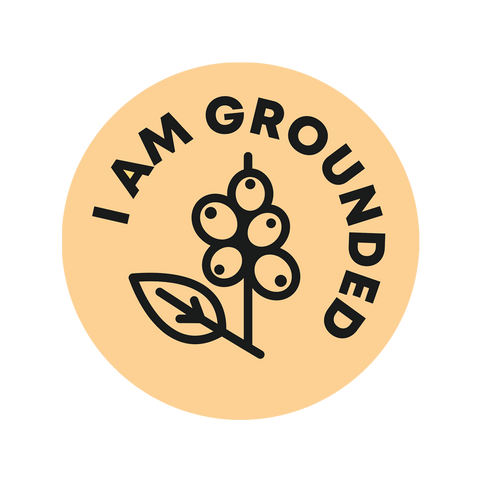 I Am Grounded Logo