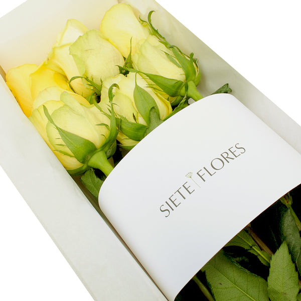 Caja de 6 Rosas Amarillas – Siete Flores