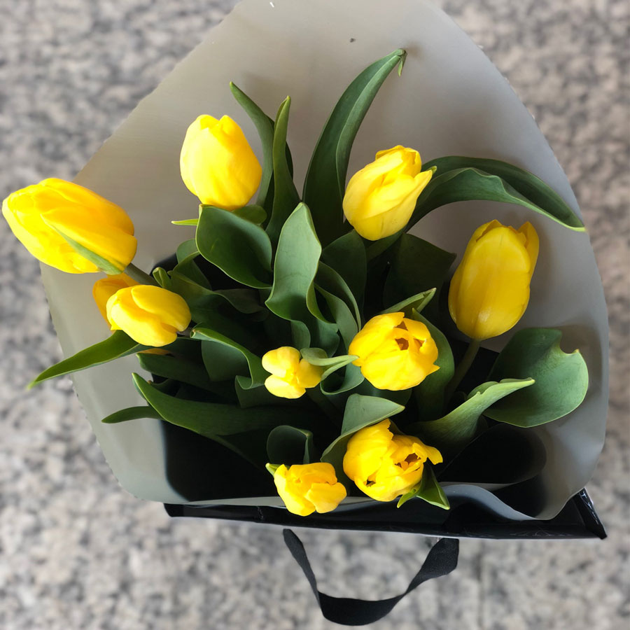 Ramo de Tulipanes + Globo – Siete Flores