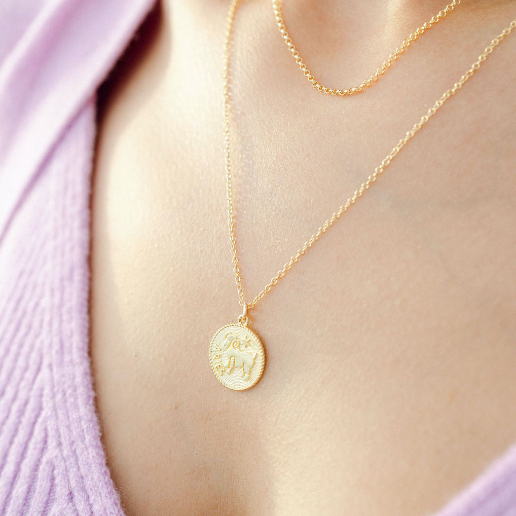 A model wearing a gold Aries zodiac necklace by Katie Dean Jewelry, layered with other delicate chains, against a purple top.