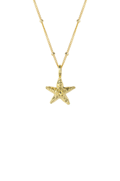 Katie Dean Jewelry Starfish Necklace