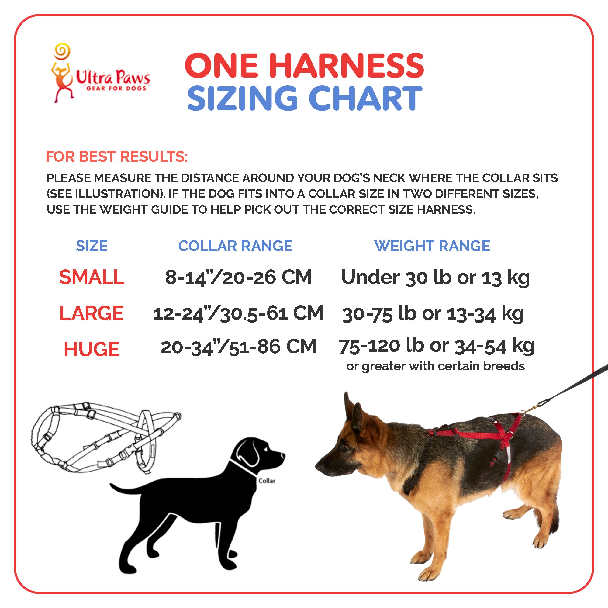 dog harness sizing