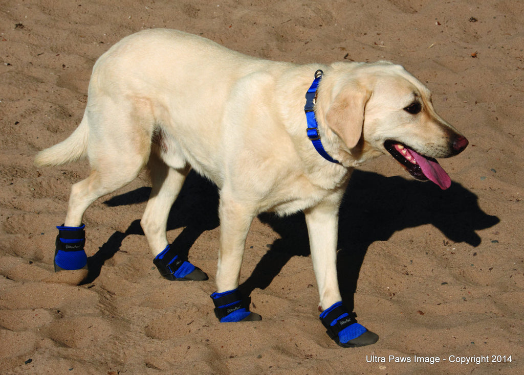 ultra paws cool dog boots