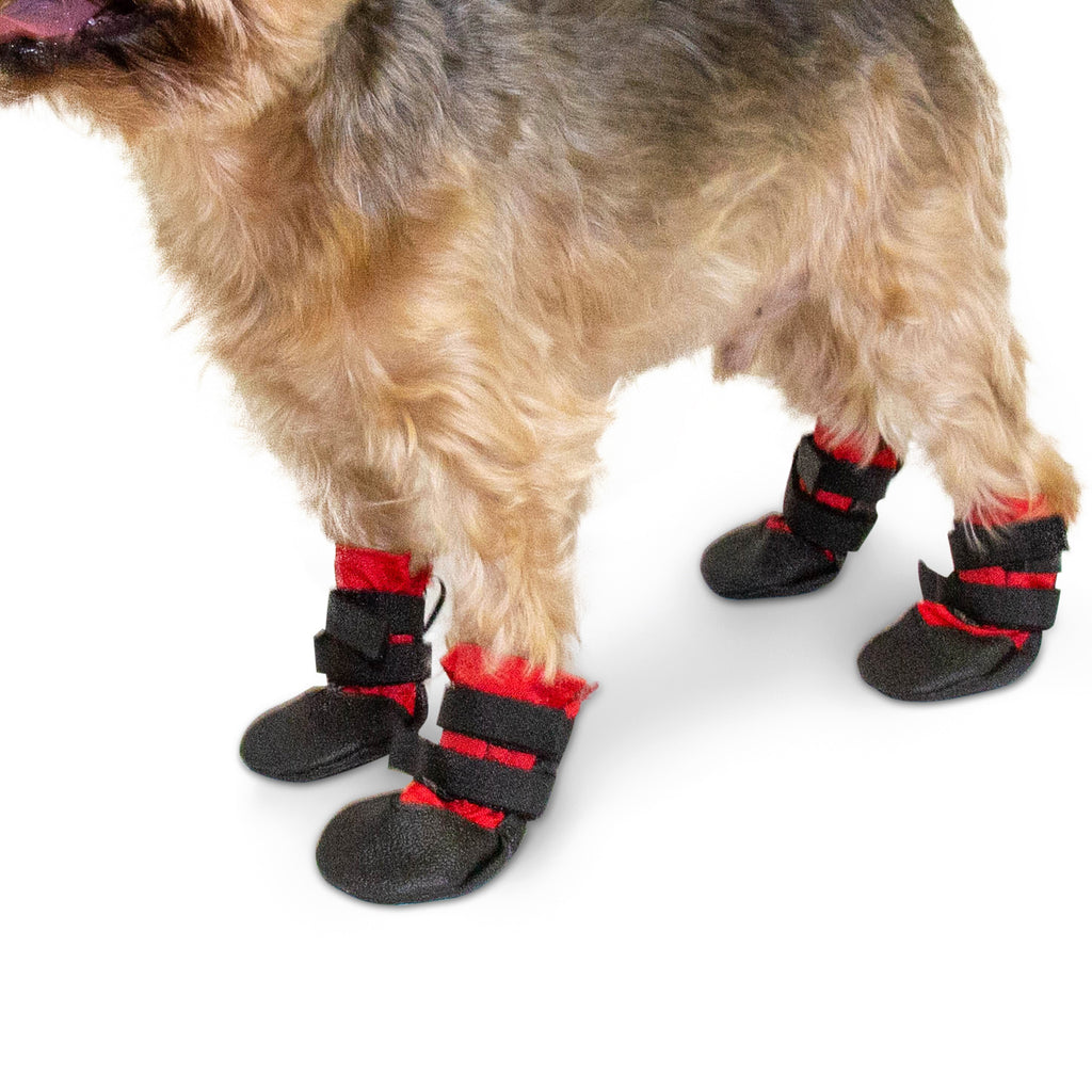 dog foot booties