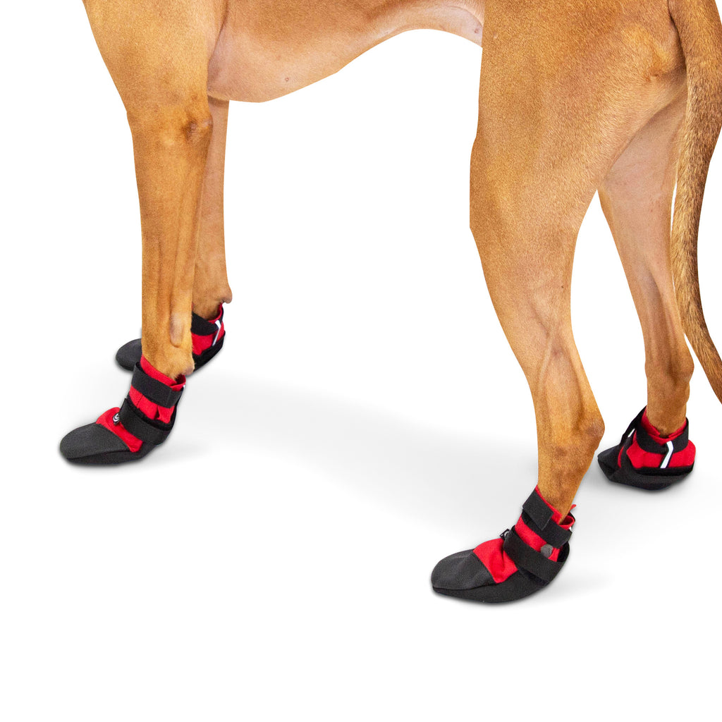 ultra paws traction dog boots