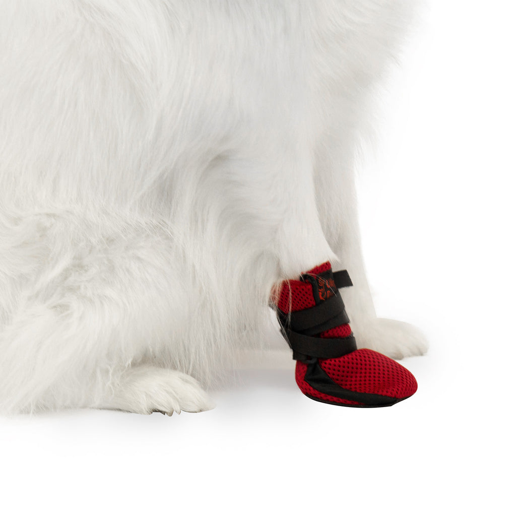 Ultra Paws Wound Boot \u0026 Wrap