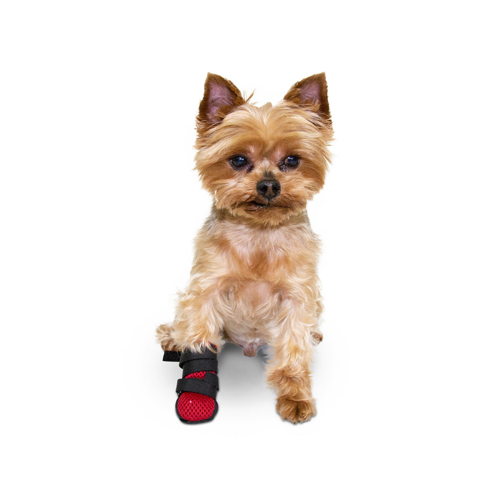 dog wound boot