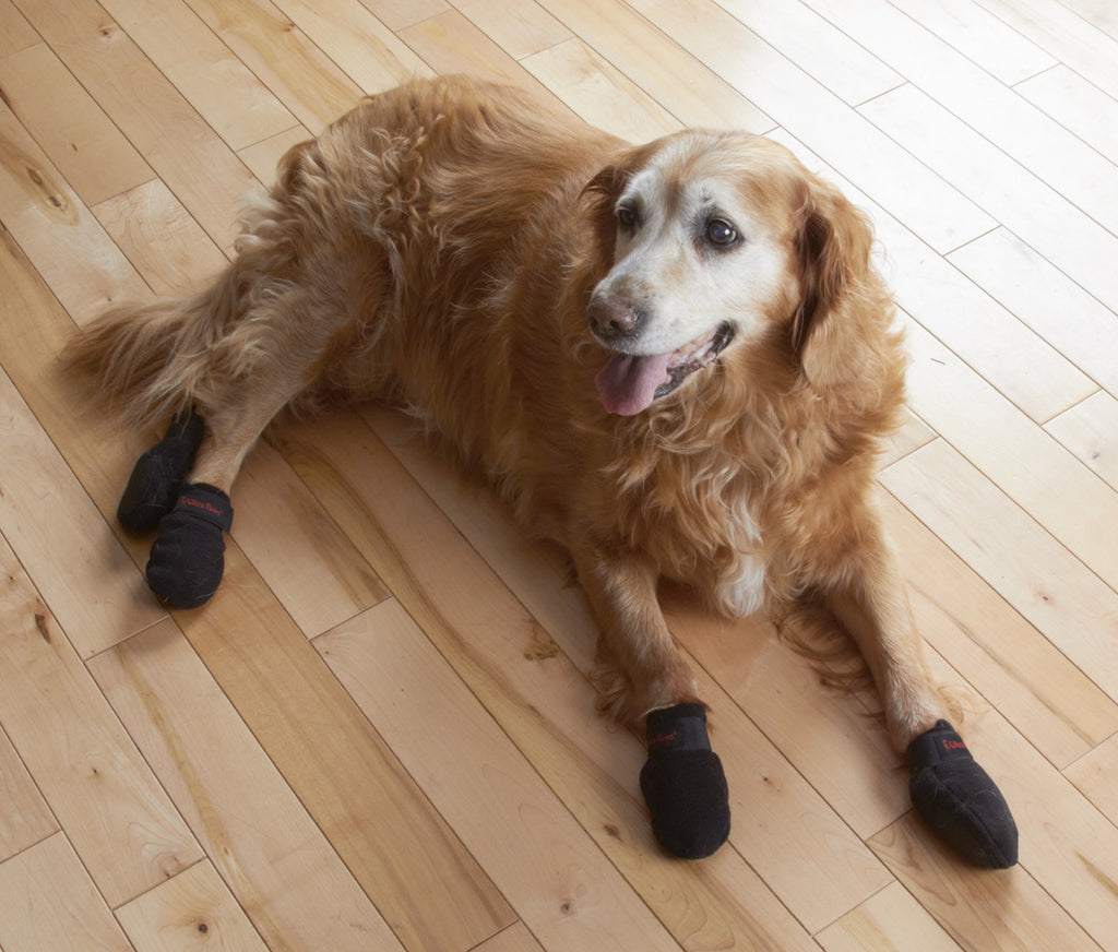 dog shoes for wood floors