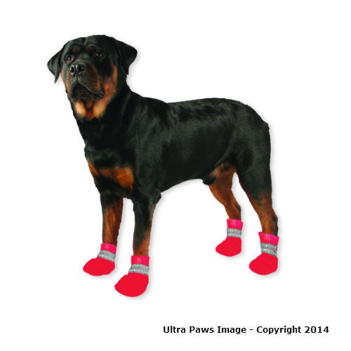 pink dog boots
