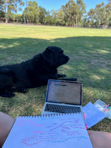 Studying in the park on a sunny day with black dog.