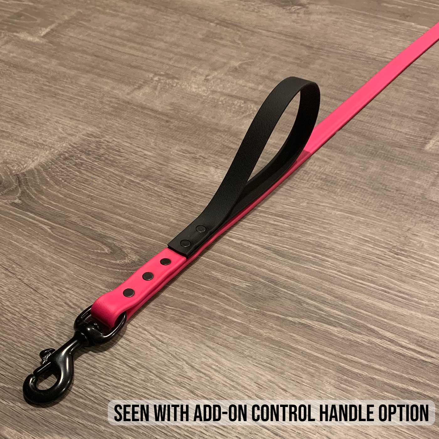 custom biothane leash