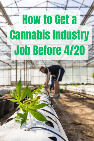 cannabis jobs happy 420 