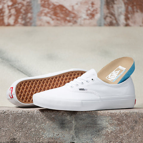 vans authentic truth skate shoe