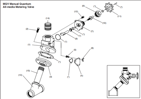 Manual Quantum Valve