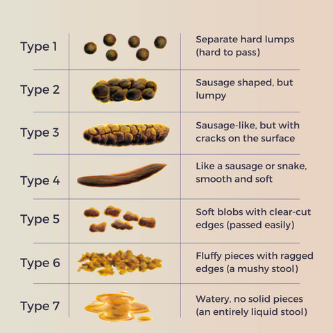 different ways to poop