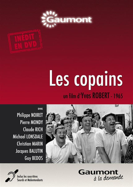 DVD T'choupi et ses amis (interactif) - Coffret : Le cache-cache géant + La  cabane des copains + T' - AlloCiné