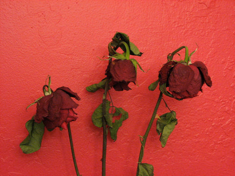 Three wilted roses.