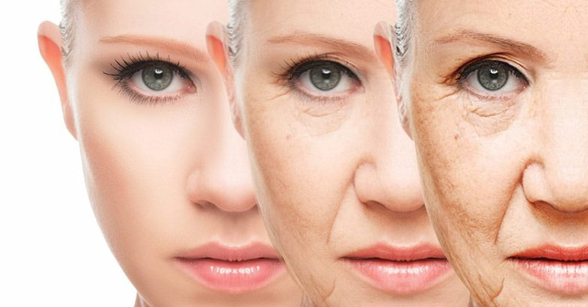 The Science Behind Anti-Aging