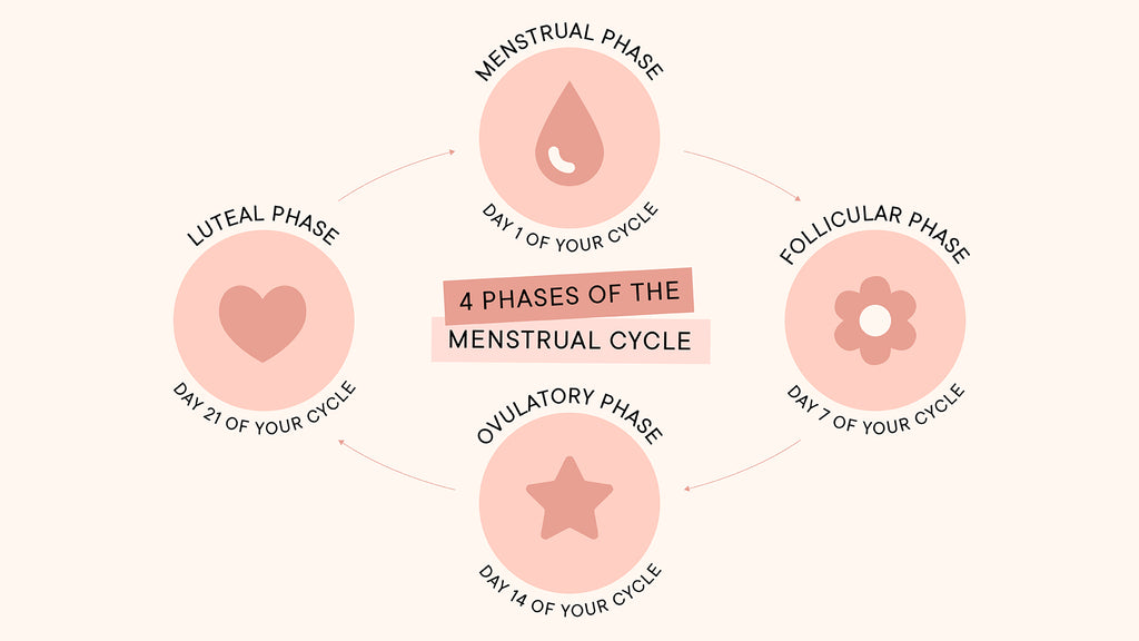 Ovulation cycle affects your dating behaviour - In Sync Blog by Nua