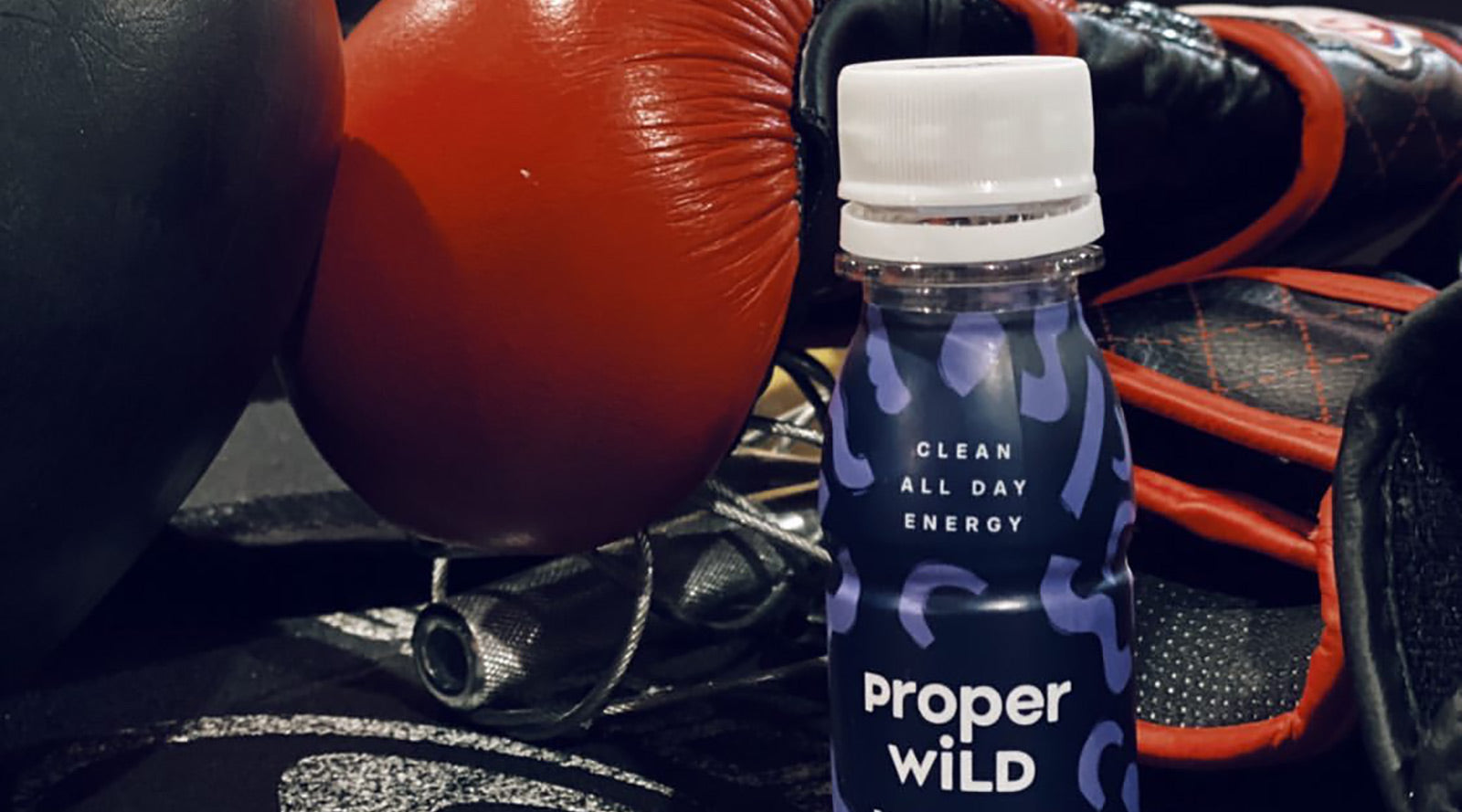 Proper Wild at the Boxing Gym