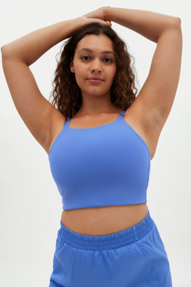 Blue Mesh Insert High Neck Plus Size Sport Bra Online