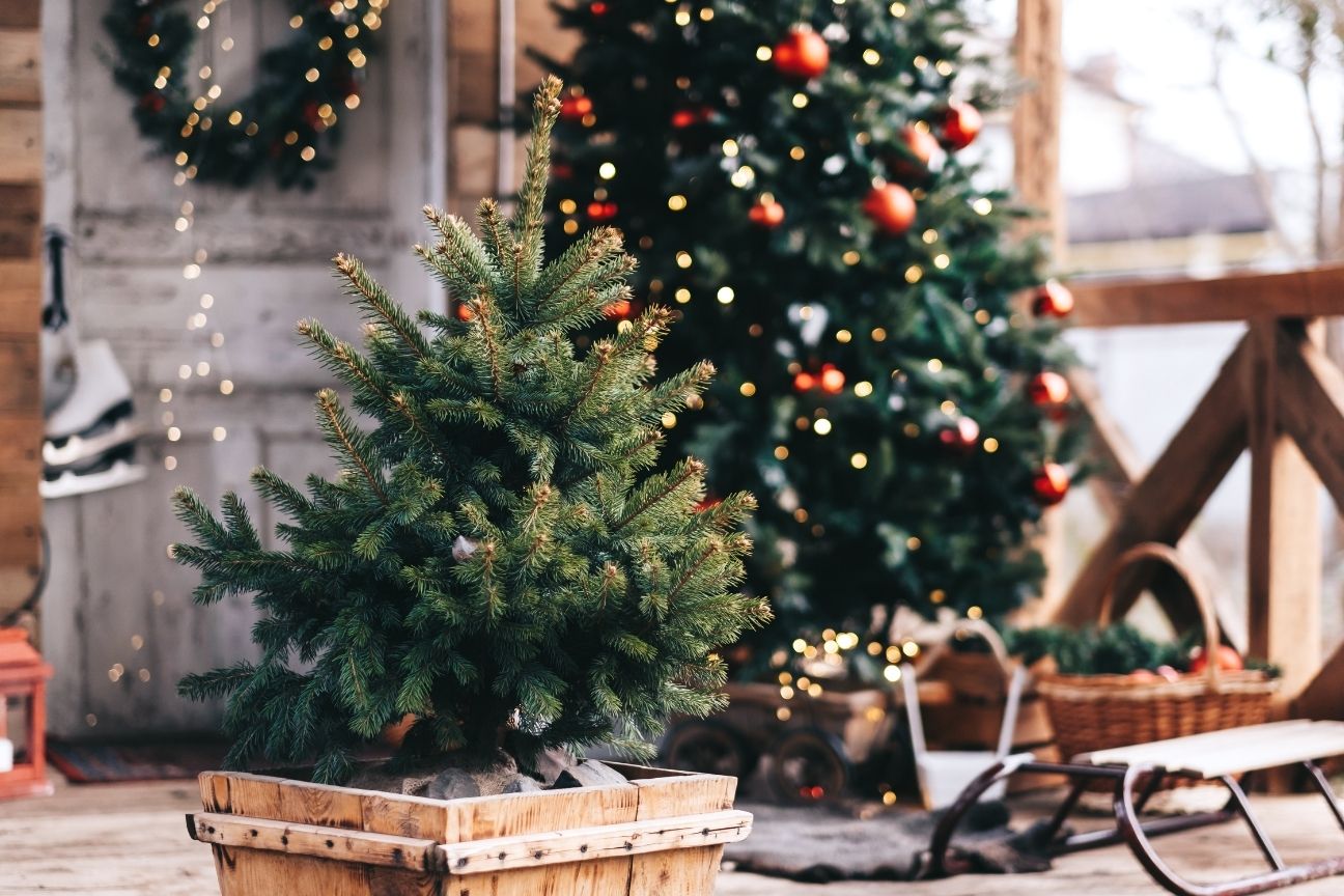 Small christmas tree in a wooden box on a porch