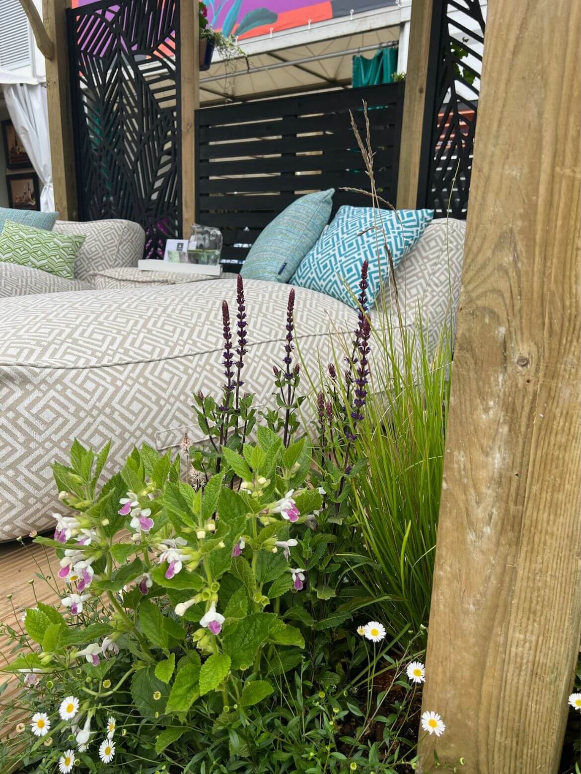 A luxury sun lounger surrounded by green foliage and purple salvias at the RHS Chelsea Flower Show
