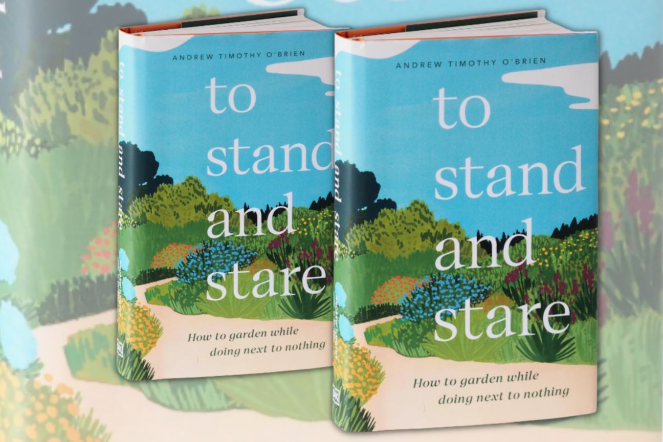 The picture shows a book with the words To Stand and Stare on it. The book cover is decorated with a blue and green painted landscape.