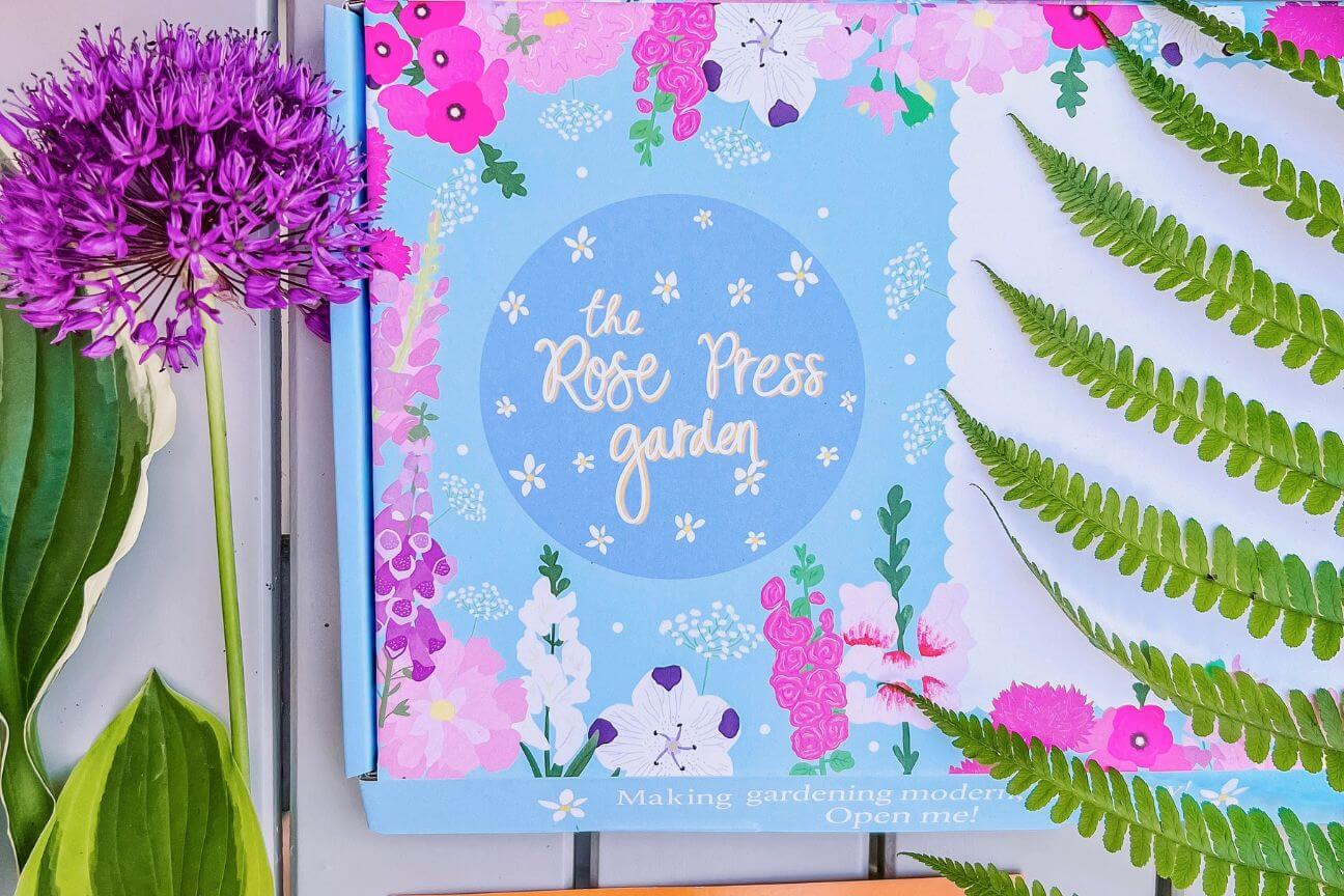 A plae blue flat letterbox-sized cardboard box decorated with watercolour pastel flowers has the words The Rose Press Garden written on it. A purple allium flower and a fern lay next to the box.