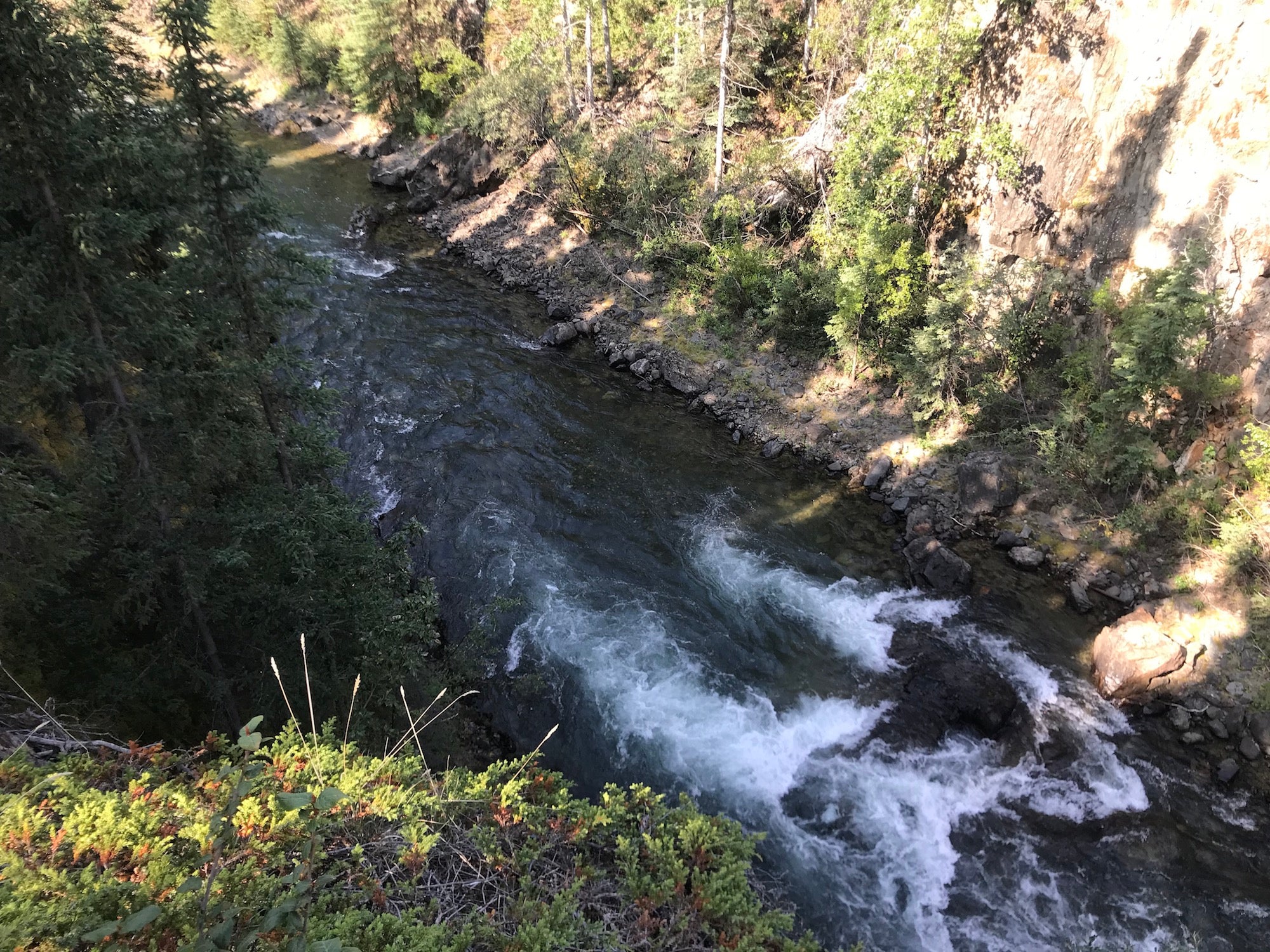 Pine Creek Atlin BC Gold Claim For Sale