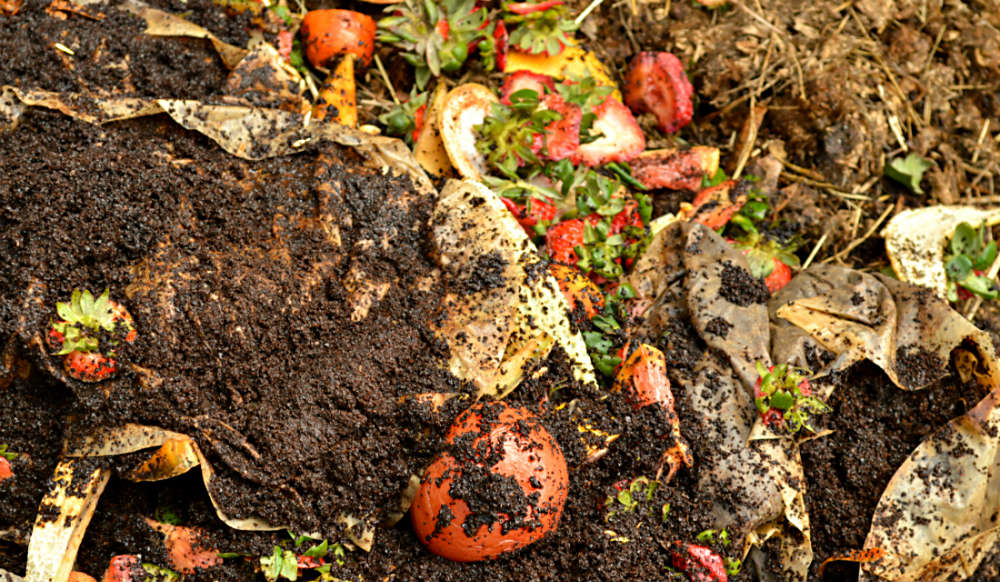 compostar produtos compostaveis biodegradaveis