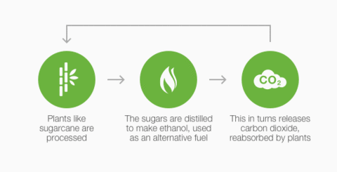 What is bio ethanol