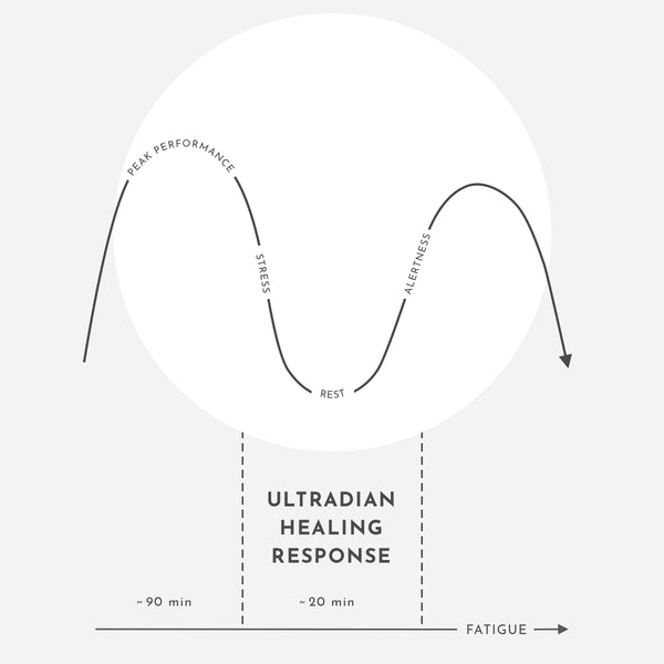 Appellation's chart showing the peaks & troughs of our body's natural ultradian healing response