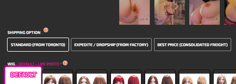 Three Shipping Options from Sex Doll Canada
